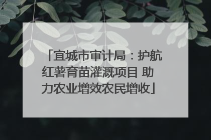 宜城市审计局：护航红薯育苗灌溉项目 助力农业增效农民增收
