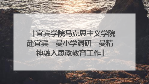 宜宾学院马克思主义学院赴宜宾一曼小学调研一曼精神融入思政教育工作