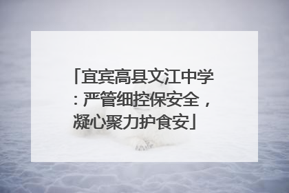 宜宾高县文江中学：严管细控保安全，凝心聚力护食安