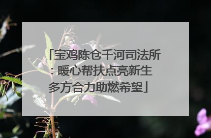 宝鸡陈仓千河司法所：暖心帮扶点亮新生 多方合力助燃希望