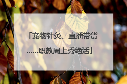 宠物针灸、直播带货……职教周上秀绝活