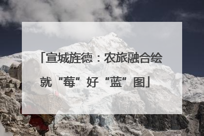 宣城旌德：农旅融合绘就“莓”好“蓝”图