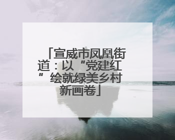 宣威市凤凰街道：以“党建红”绘就绿美乡村新画卷