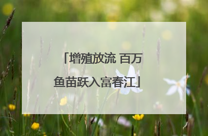 增殖放流 百万鱼苗跃入富春江