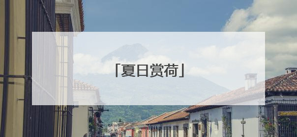 夏日赏荷