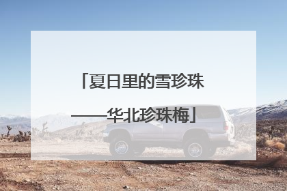 夏日里的雪珍珠——华北珍珠梅