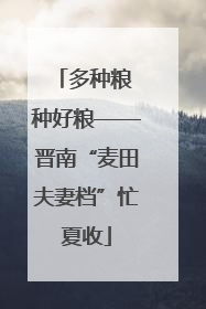多种粮 种好粮——晋南“麦田夫妻档”忙夏收