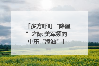 多方呼吁“降温”之际 美军频向中东“添油”