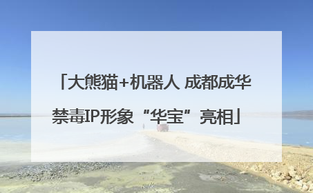 大熊猫+机器人 成都成华禁毒IP形象“华宝”亮相