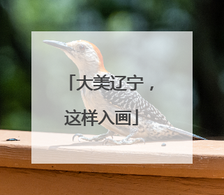 大美辽宁，这样入画