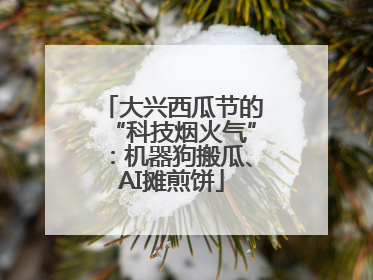 大兴西瓜节的“科技烟火气”：机器狗搬瓜、AI摊煎饼