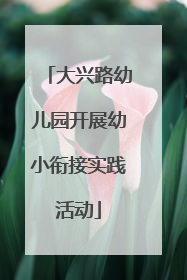 大兴路幼儿园开展幼小衔接实践活动