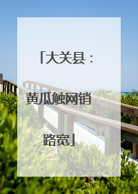 大关县：黄瓜触网销路宽