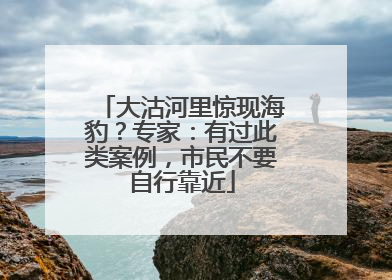 大沽河里惊现海豹？专家：有过此类案例，市民不要自行靠近