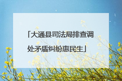 大通县司法局排查调处矛盾纠纷惠民生