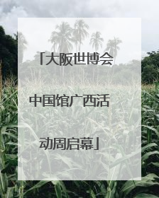 大阪世博会中国馆广西活动周启幕