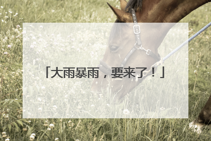 大雨暴雨，要来了！
