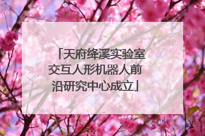 天府绛溪实验室交互人形机器人前沿研究中心成立