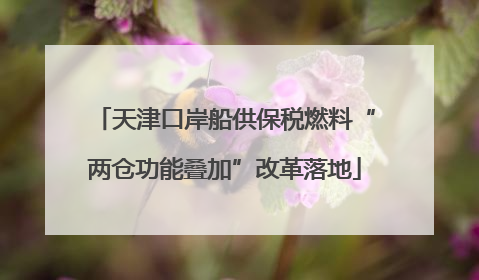 天津口岸船供保税燃料“两仓功能叠加”改革落地