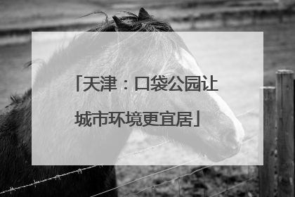 天津：口袋公园让城市环境更宜居