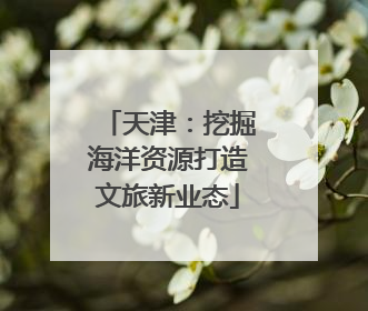 天津：挖掘海洋资源打造文旅新业态