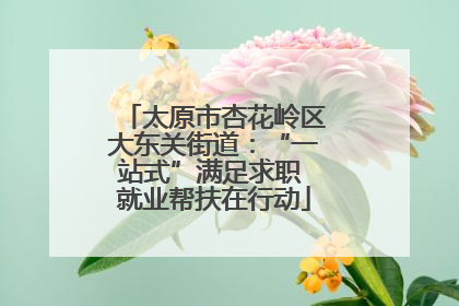 太原市杏花岭区大东关街道：“一站式”满足求职 就业帮扶在行动