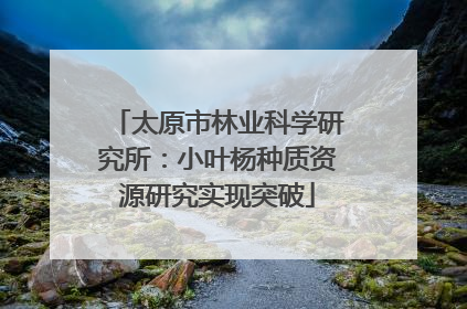 太原市林业科学研究所：小叶杨种质资源研究实现突破