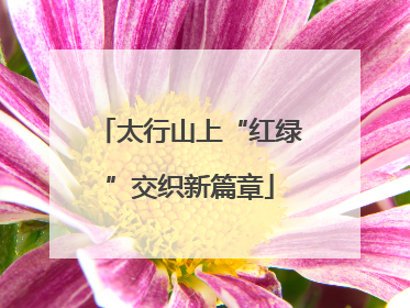 太行山上“红绿”交织新篇章