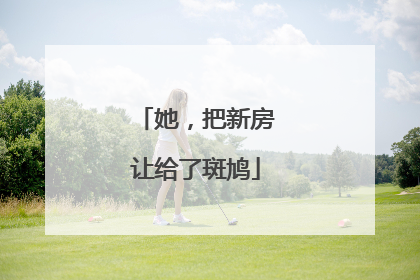 她，把新房让给了斑鸠