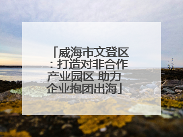 威海市文登区：打造对非合作产业园区 助力企业抱团出海