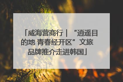 威海营商行｜“逍遥目的地 青春经开区”文旅品牌推介走进韩国