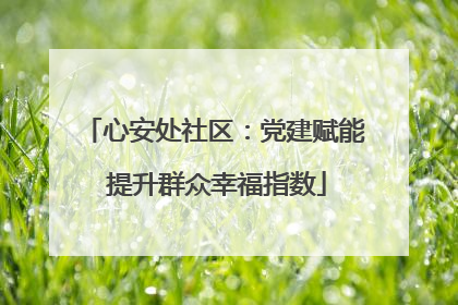 心安处社区：党建赋能 提升群众幸福指数
