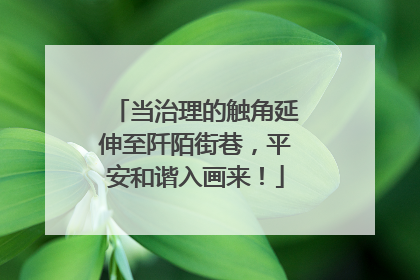 当治理的触角延伸至阡陌街巷，平安和谐入画来！