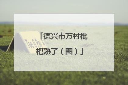 德兴市万村枇杷熟了（图）