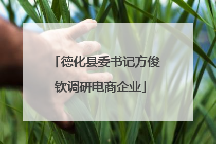德化县委书记方俊钦调研电商企业