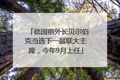 德国前外长贝尔伯克当选下一届联大主席，今年9月上任