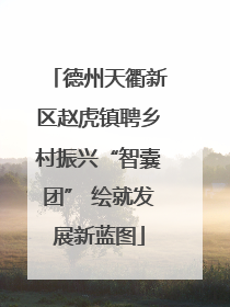 德州天衢新区赵虎镇聘乡村振兴“智囊团” 绘就发展新蓝图