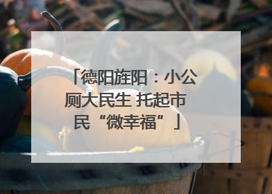 德阳旌阳：小公厕大民生 托起市民“微幸福”