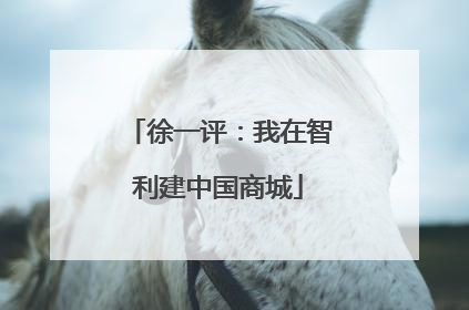 徐一评：我在智利建中国商城