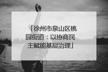 徐州市泉山区桃园街道：以协商民主赋能基层治理