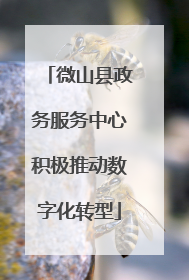 微山县政务服务中心积极推动数字化转型