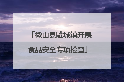 微山县驩城镇开展食品安全专项检查
