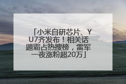 小米自研芯片、YU7齐发布！相关话题霸占热搜榜，雷军一夜涨粉超20万