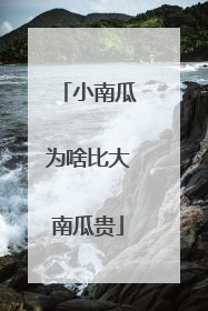 小南瓜为啥比大南瓜贵