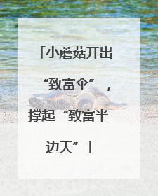 小蘑菇开出“致富伞”，撑起“致富半边天”