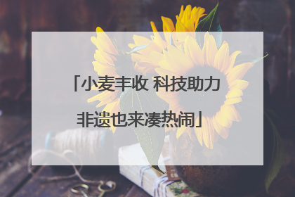 小麦丰收 科技助力 非遗也来凑热闹
