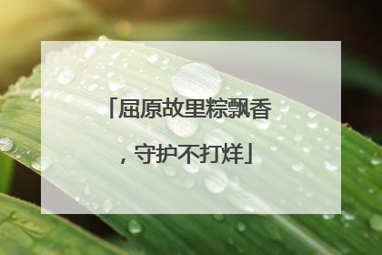 屈原故里粽飘香，守护不打烊