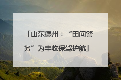 山东德州：“田间警务”为丰收保驾护航