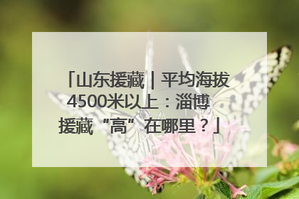 山东援藏｜平均海拔4500米以上：淄博援藏“高”在哪里？