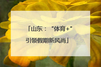 山东：“体育+”引领假期新风尚